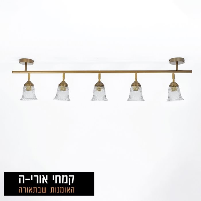 פס צבירה בבניה אישית