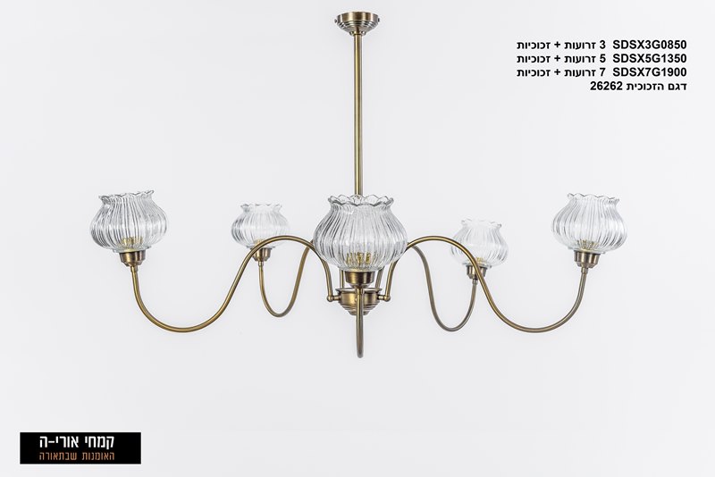 פרונטו 5   26262